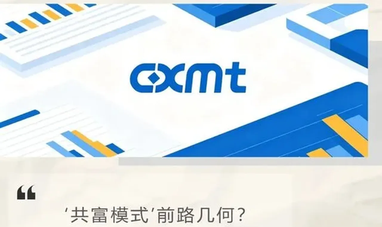 长鑫科技走共同富裕道路,未来面临哪些挑战? 插图